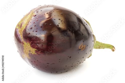 Heirloom violet eggplant isolated