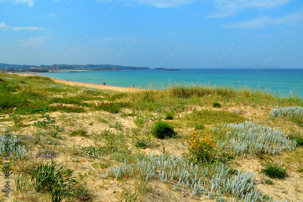 Restored natural dunes in Lanzada Beach, Galicia, Spain

