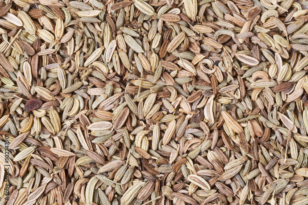 Fennel seeds background, macro shot, XXXL size Fennel seeds background, macro shot, XXXL size