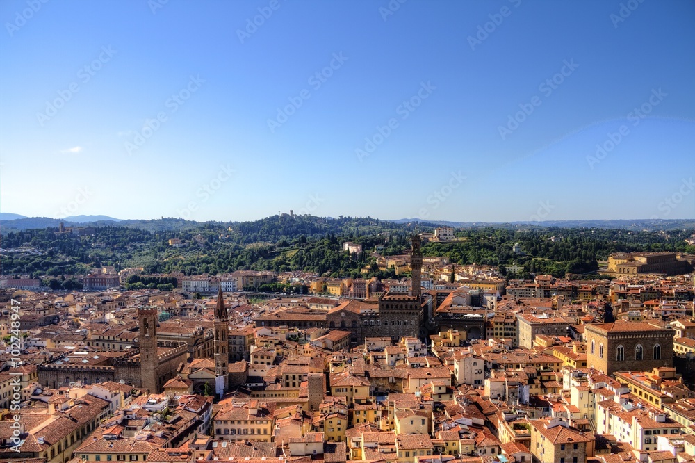 Florence from Above