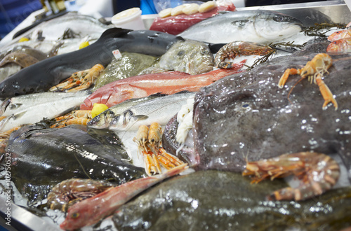 Great variety of fishes and seafood