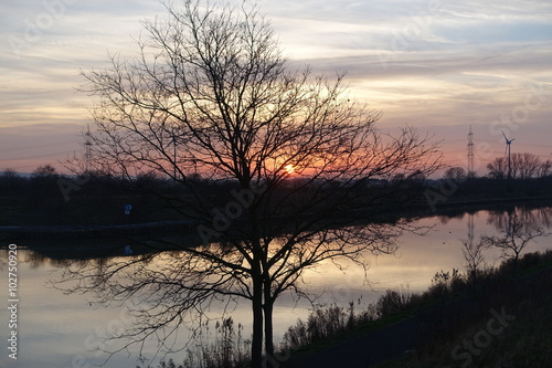 Sonnenuntergang am Mittellandkanal bei Steinhude  Niedersachsen  Deutschland