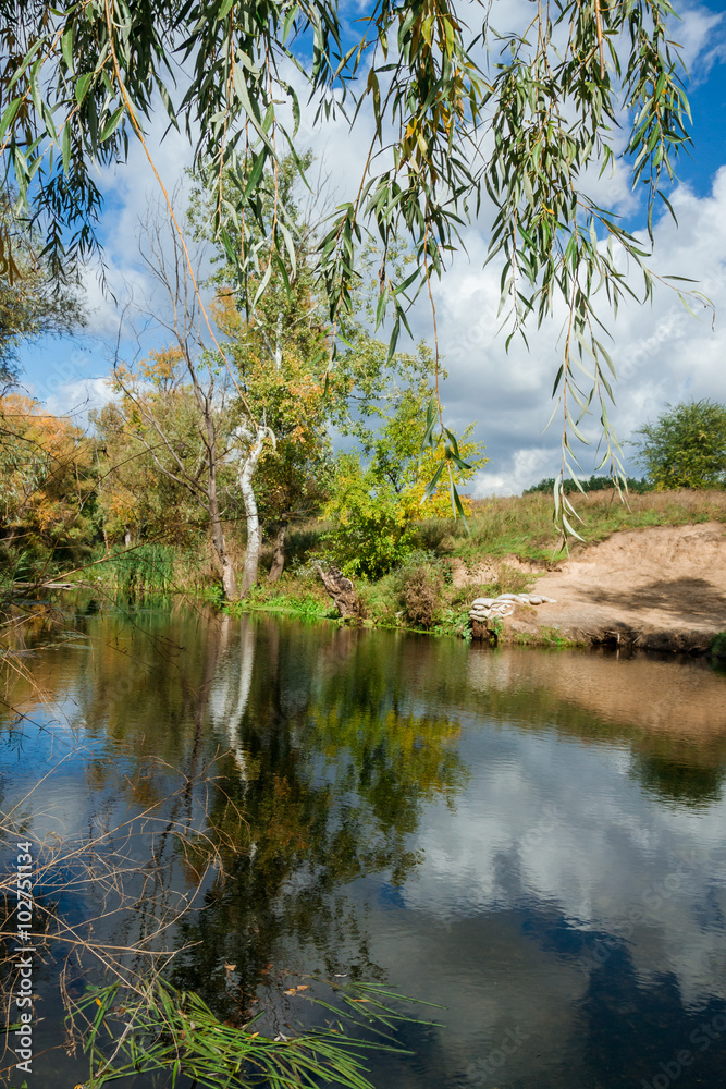 Obraz premium River among the trees