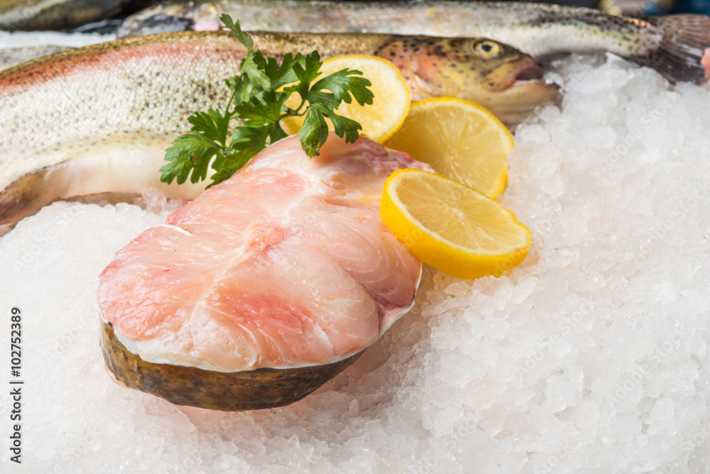 Fresh trout fish and fillet with ice Fresh trout fish and fillet with ice