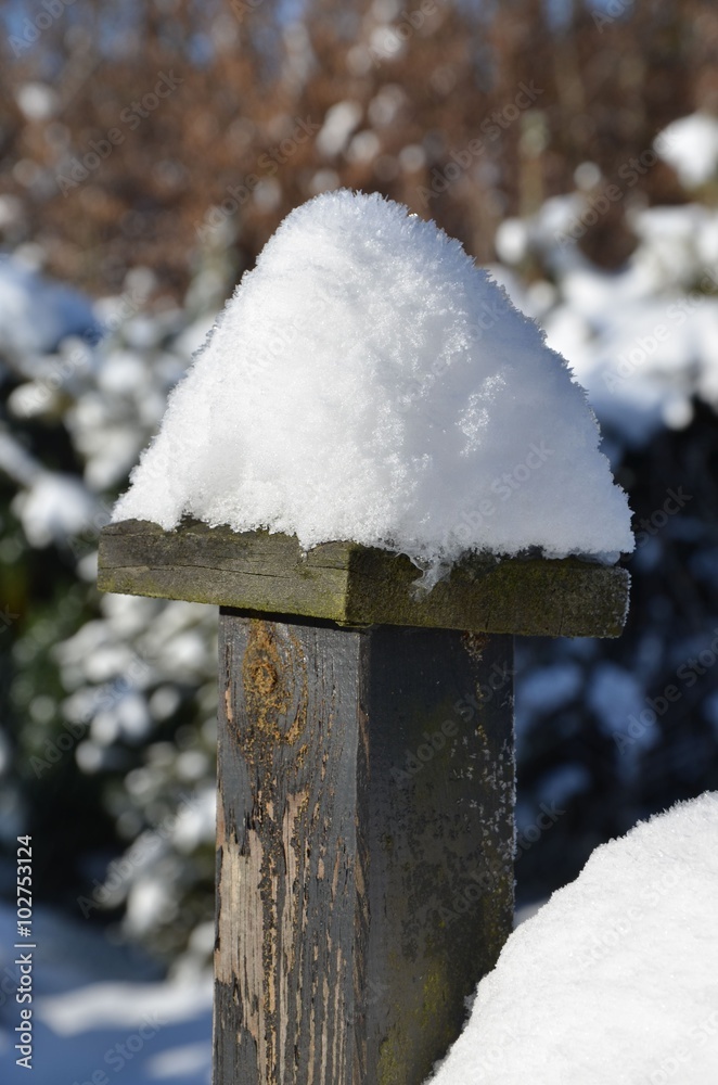 Schneehaube im Garten auf Zaunspfosten Schneehaube im Garten auf Zaunspfosten