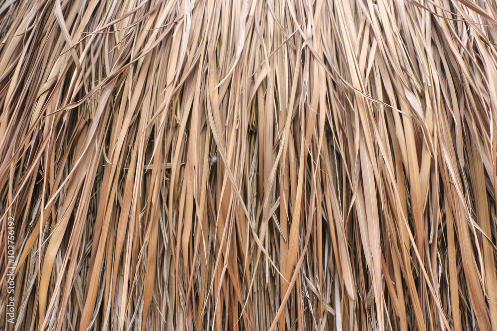 Close up straw background. Texture of straw Close up straw background. Texture of straw