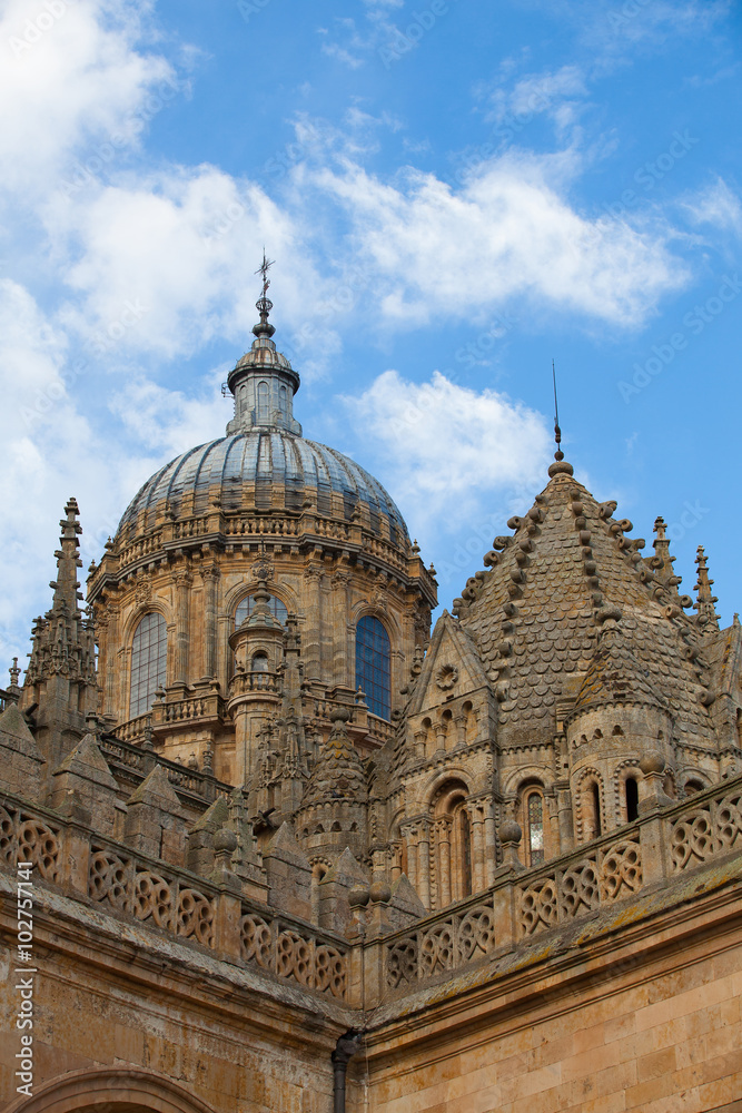 New Cathedral of Salamanca, Spain.