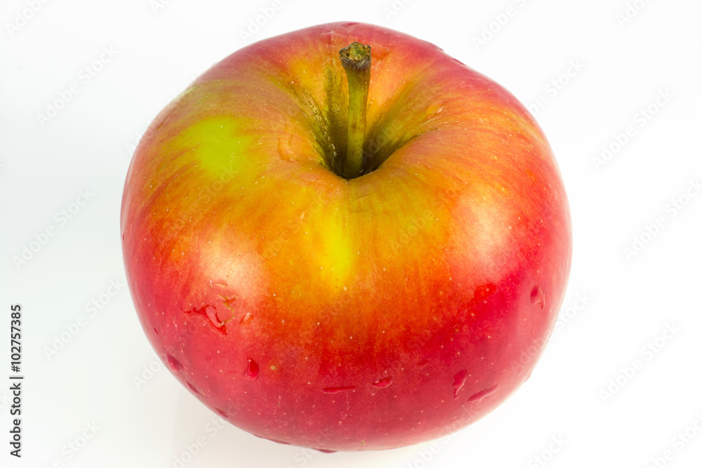 Apple Apple