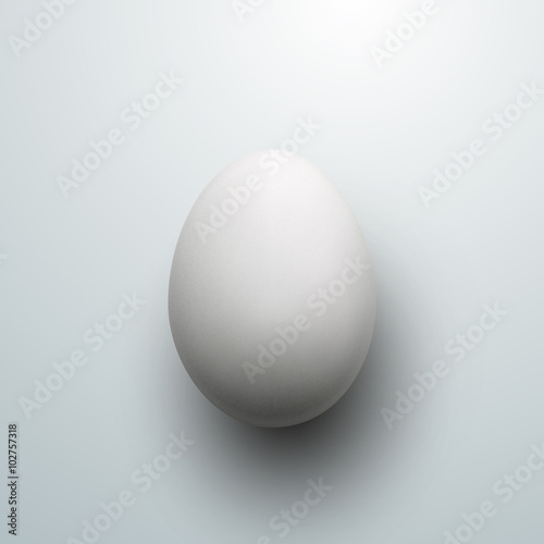 Egg. Vector Food Illustration. 
