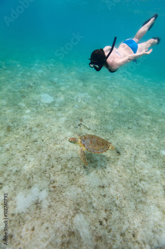 Young girl snorkeling with sea turtle