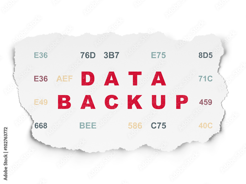 Obraz premium Data concept: Data Backup on Torn Paper background