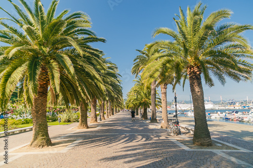 Promenade alley with palm trees in La Spezia, Italy