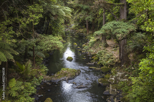 Wasserfälle von  Whangarei photo