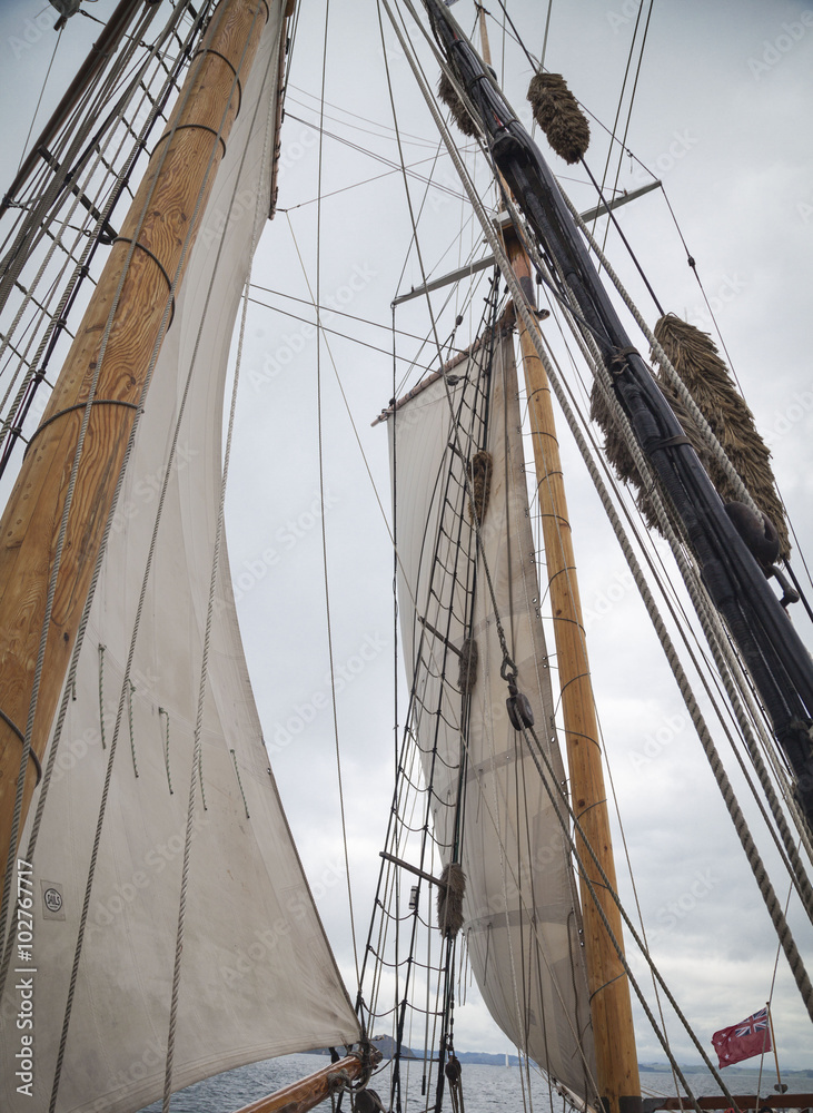 Obraz premium Segelschiff in der Bay of Islands