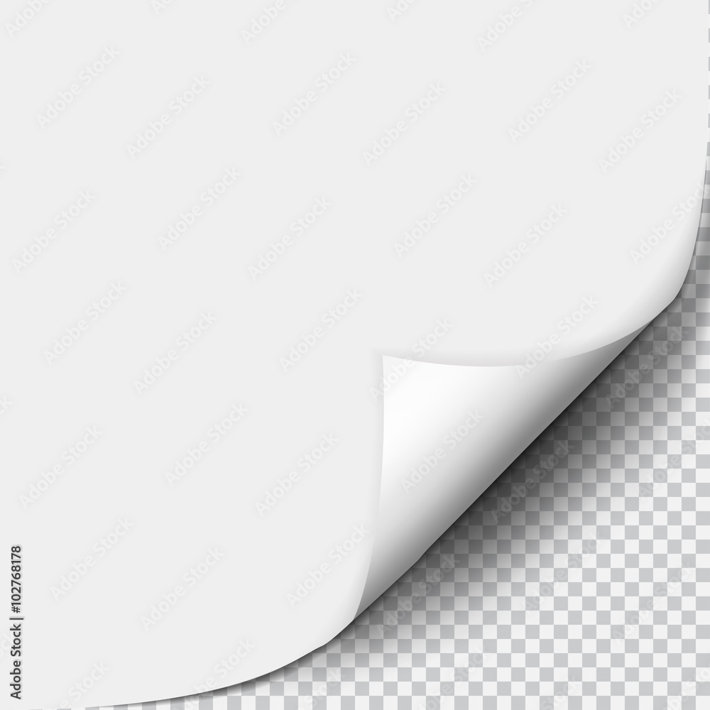 Page curl with shadow on blank sheet of paper Page curl with shadow on blank sheet of paper