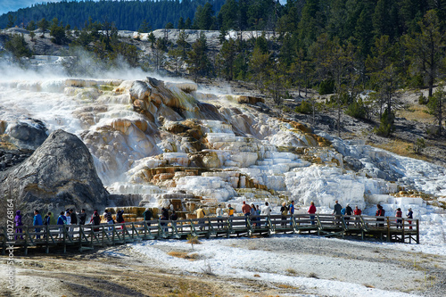Minerva Terrace, Mammoth Hot Springs, Yellowstone, Wyoming, USA photo