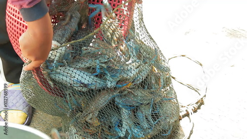 Seafood vendors are choosing crabs in the basket. For Sale in Fresh Seafood Market