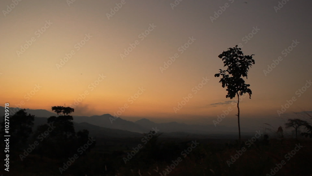 Sunset time and tree with mountain and sky color background Sunset time and tree with mountain and sky color background
