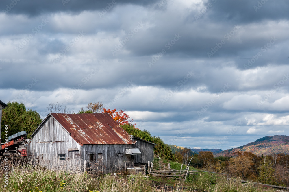 Fototapeta premium old rustic barn in Autumn
