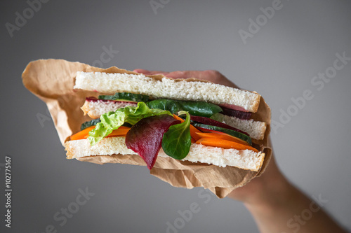 Delicious vegetable sandwich photo