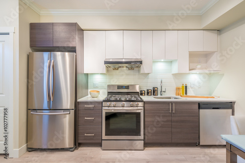 Modern, bright, clean, kitchen interior with stainless steel appliances in a luxury house
