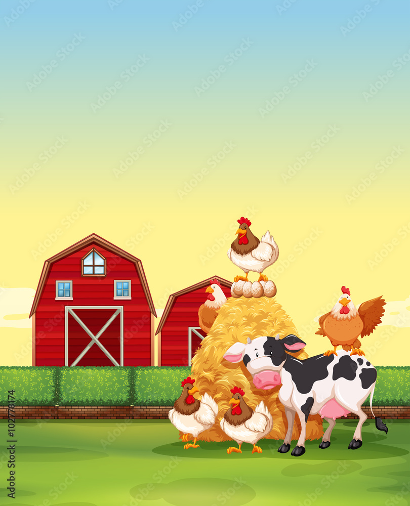 Farm animals living on the farm Farm animals living on the farm