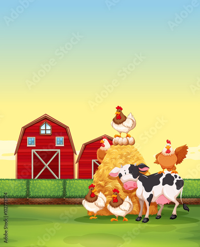 Farm animals living on the farm