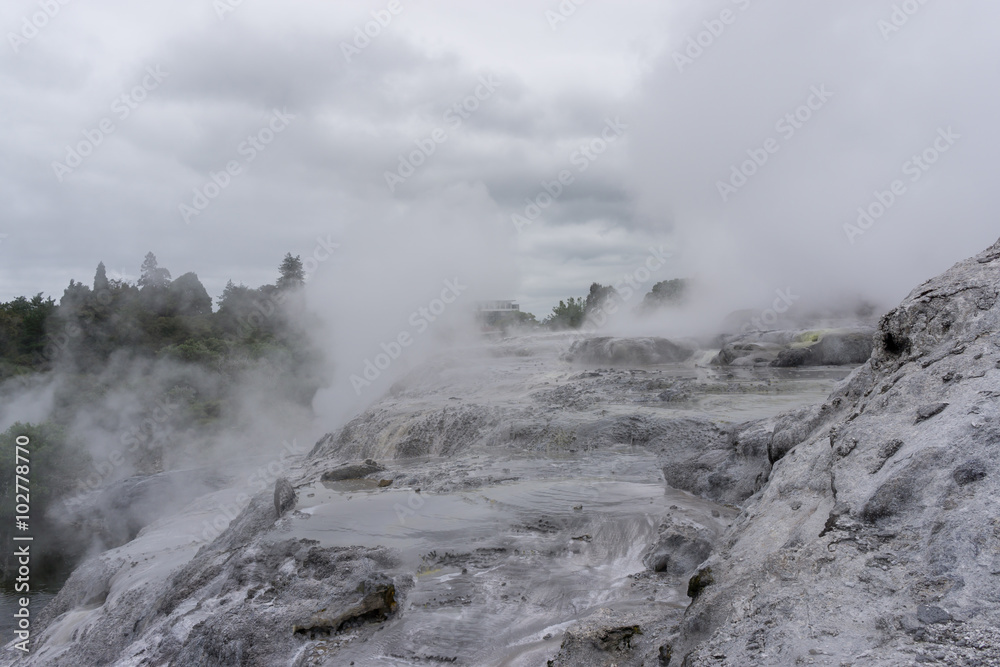 te puia geothermal valley