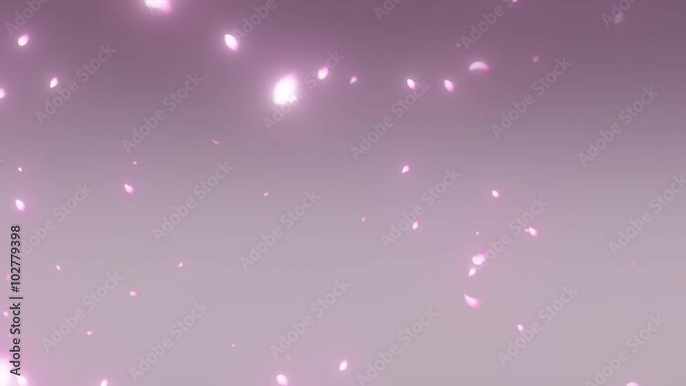 舞い散る桜 sakura cherry blossom 舞い散る桜 sakura cherry blossom