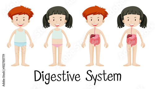 Boy and girl with digestive system