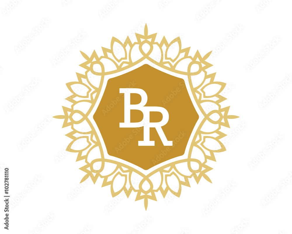 Obraz premium BR initial royal letter logo