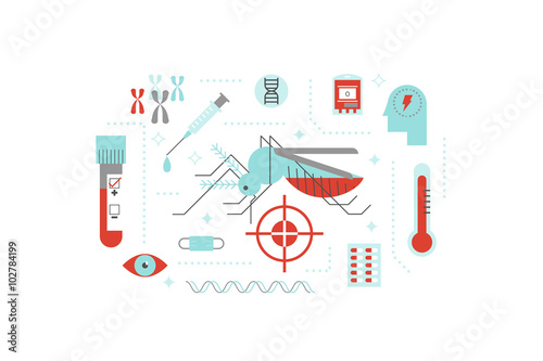 Virus or disease transmitted by mosquito illustration concept