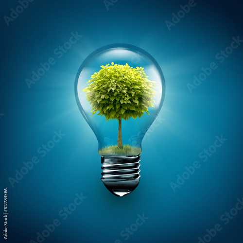 tree inside light bulb photo