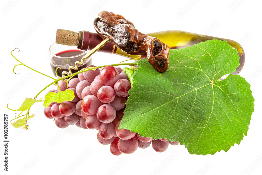 vigne, grappe de raisin, verre, bouteille de vin et tire-bouchon, fond blanc  Stock Photo | Adobe Stock