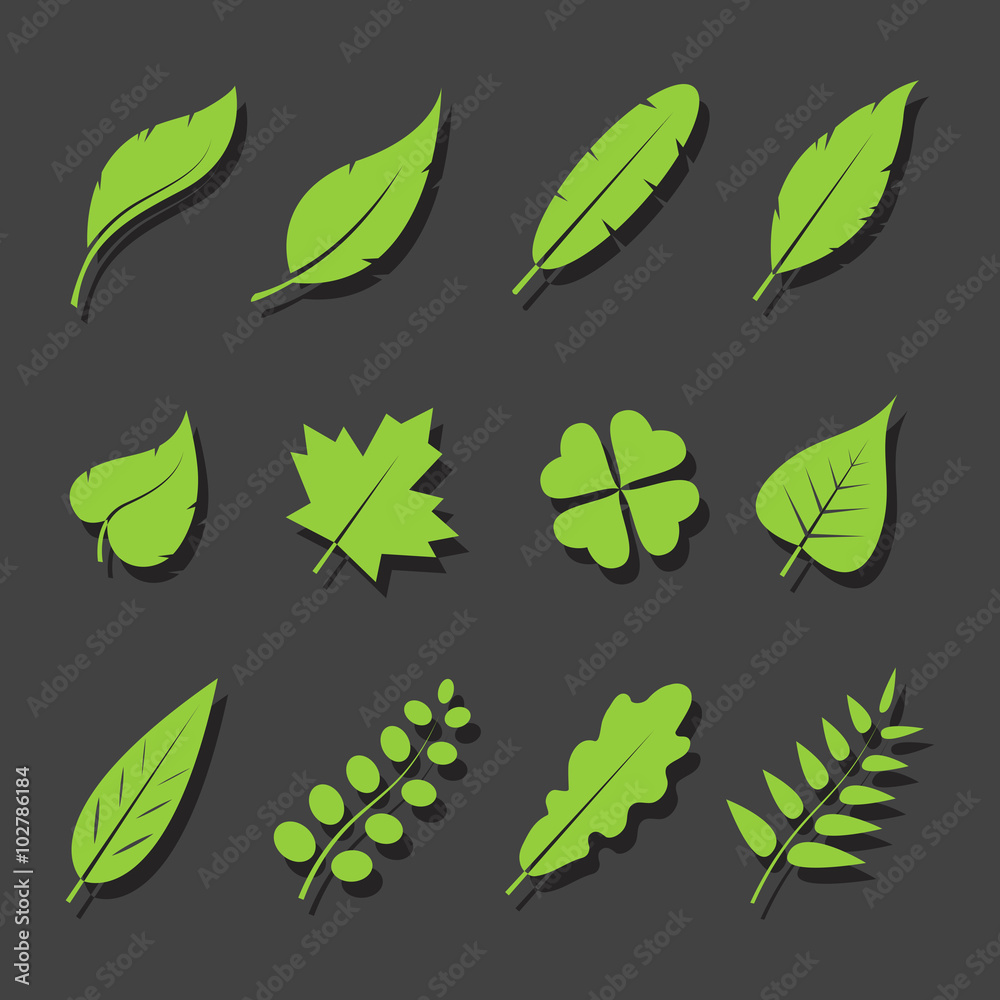 Vector leaves green icon set on black background
