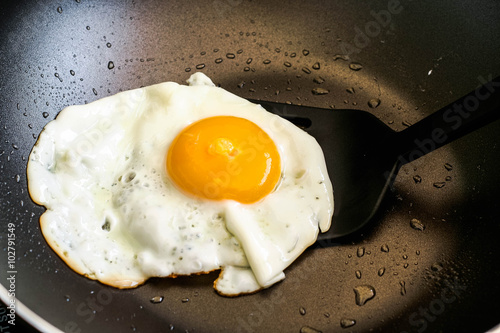 fried egg