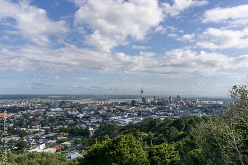 Auckland city view © aaron90311