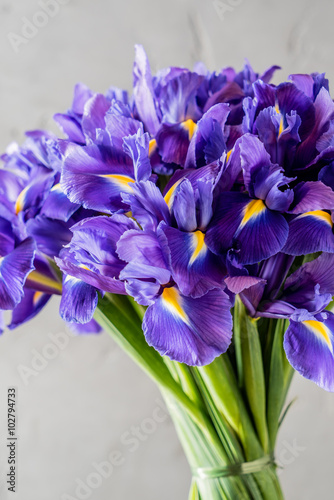 spring flowers © Maksim Shebeko