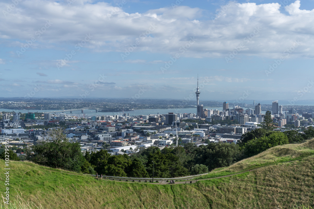 Auckland city view