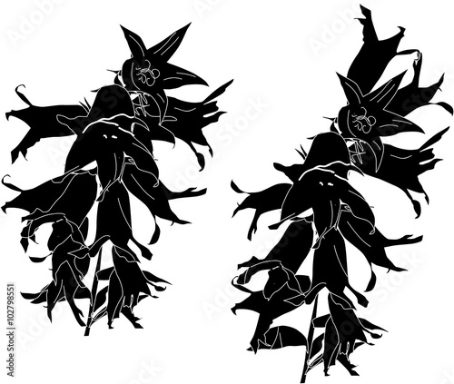 two bluebell flowers black silhouettes