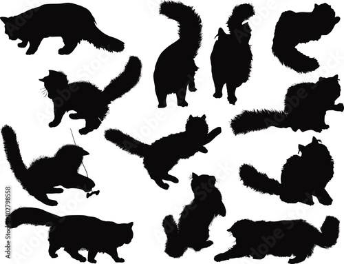 twelve small black kittens on white