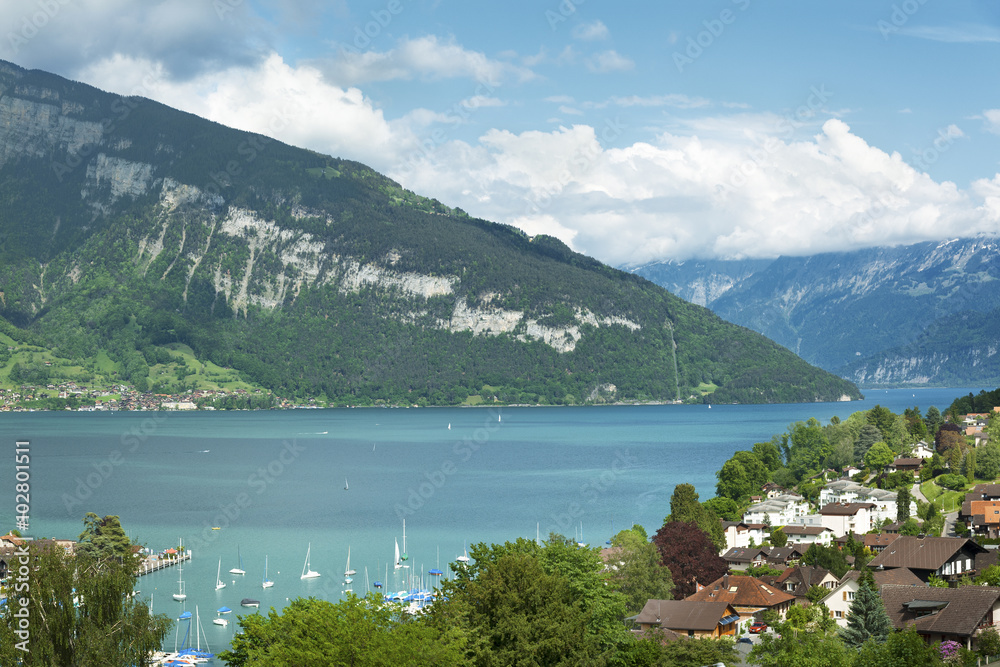 Landscape of lake Thun (Jungfrau region, canton Bern, Switzerland)