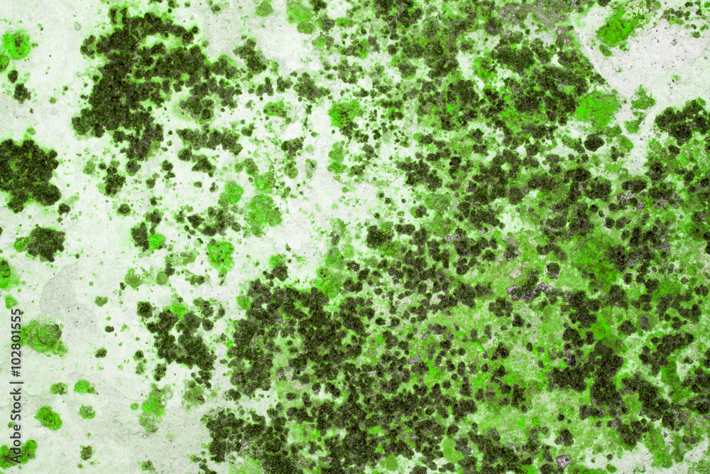 large grunge textures and backgrounds large grunge textures and backgrounds