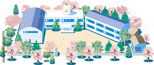 桜が咲いている学校