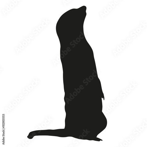 Meerkat isolated vector silhouette