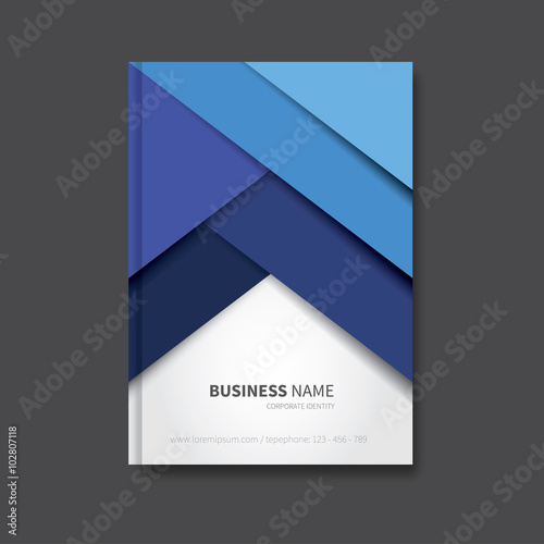 professional book design / modern vector brochure background, cover for report, corporate