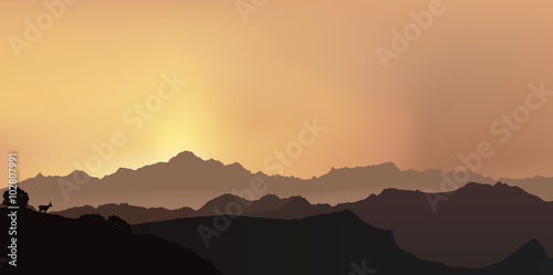 Paysage de montagne - Mont Blanc - Alpes