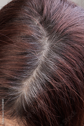 Closeup of a woman's head with parted gray hair regrown roots.