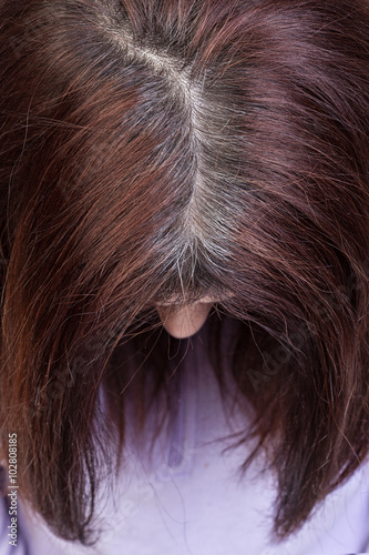 Closeup of a woman's head with parted gray hair regrown roots.