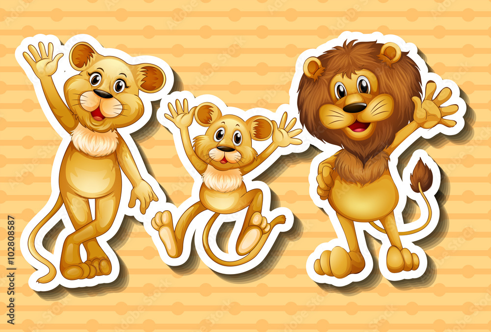 Fototapeta premium Lion family on orange background